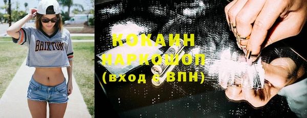 сатива Абаза