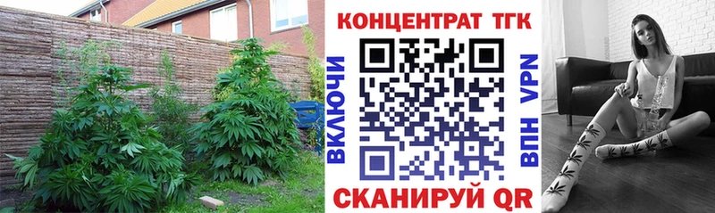 MEGA сколько стоит Нижняя Тура Дистиллят ТГК вейп с тгк