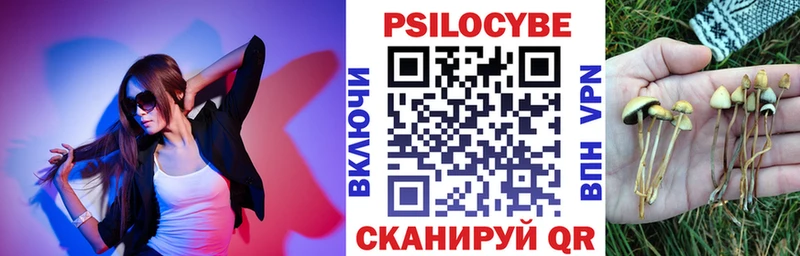 даркнет состав  Нижняя Тура  Псилоцибиновые грибы прущие грибы 